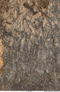 Photo Textures of Wood